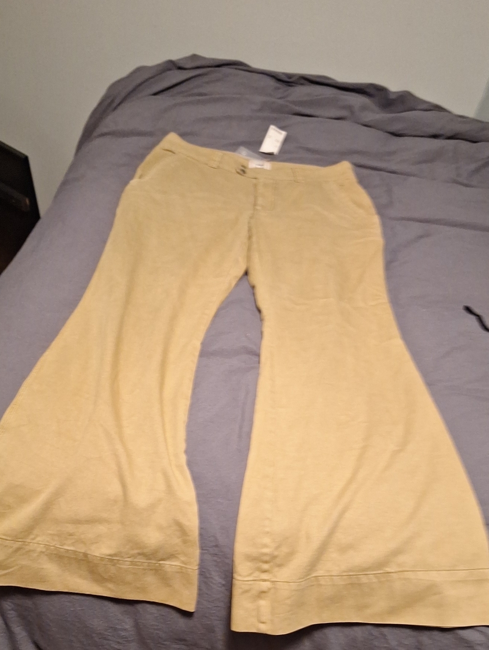 BDG Beige High-Rise  Button-Fly Pants